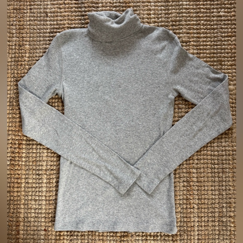 Everlane Turtleneck